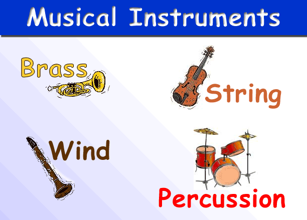 types of stringed instruments